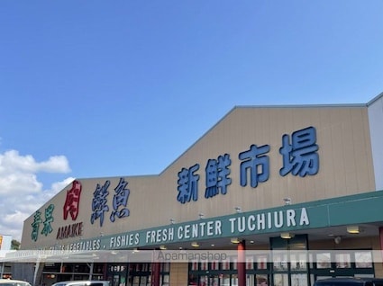 ジュネス　恵[1LDK/40m2]の周辺1