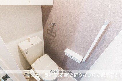 エムズ　グリューエン[2LDK/63.03m2]のトイレ