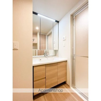 ＬｕｍｉＣｏｕｒｔ　ＭＩＴＡＫＡ[1SLDK/48.6m2]の洗面所