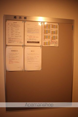 RIHOEDのその他写真