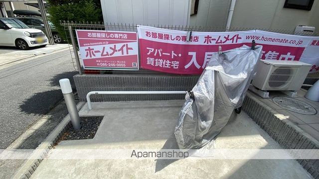 コスモスのその他写真