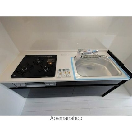 ライオンズマンション日本橋[2DK/47.79m2]のキッチン