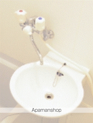 レオパレスラ　プランタン　Ⅱ[1K/19.87m2]の洗面所