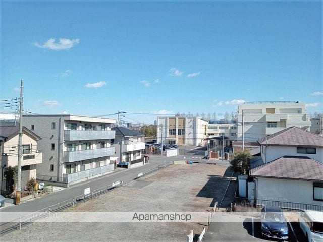 レオネクストヒマワリのその他写真