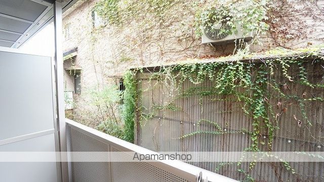 ルピナスのその他写真