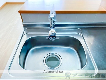 プラシードカーサⅡ[1LDK/41.98m2]の内装4