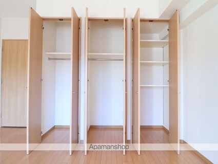 セイント橘[1DK/45.22m2]の収納