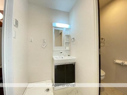 ララルー[1LDK/33.02m2]の洗面所