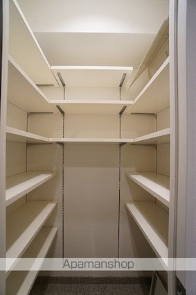 タワー・ザ・ファースト静岡[2LDK/77.03m2]の収納