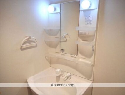 ラビュール三軒茶屋[1DK/40.91m2]の洗面所