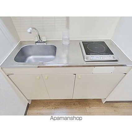 Ｙｏｕｎｇ　Ｖｉｌｌａｇｅ２[1K/22.46m2]のキッチン2