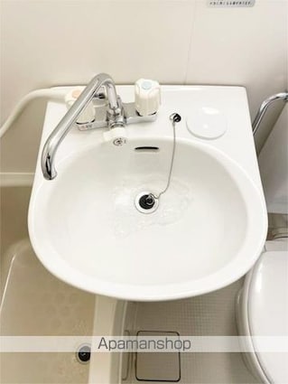 トーシン・フェニックスマンション神楽坂[1R/14.17m2]の洗面所