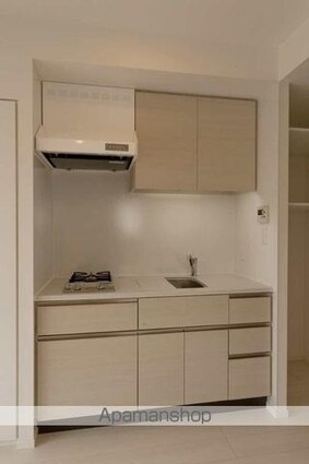 パークアクシス秋葉原Ｅａｓｔ[1R/26.03m2]のキッチン