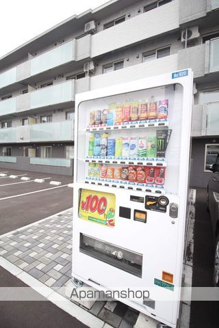 セントポーリアエールのその他写真