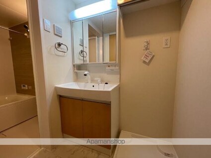 オータムめぐみⅢ[1LDK/43.21m2]の洗面所