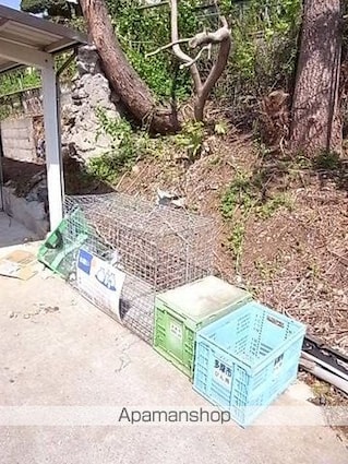 ハイムルーク[1K/32.17m2]の共用部6