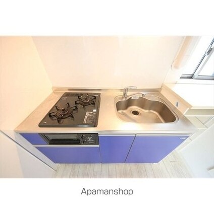 キングハウス吉祥寺Ｂ棟[1DK/29.07m2]のその他内装3