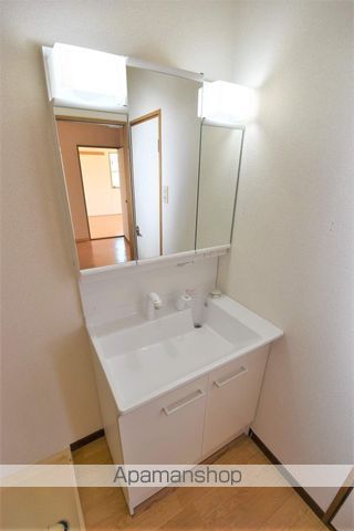 ブラウンシャトー[3DK/52.99m2]の洗面所