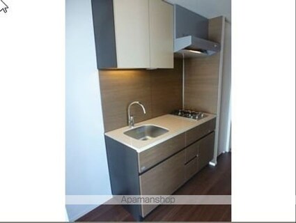 パークハビオ門前仲町[1R/29.14m2]のキッチン