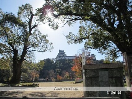 和歌山県和歌山市十二番丁[2DK/51.4m2]の周辺1