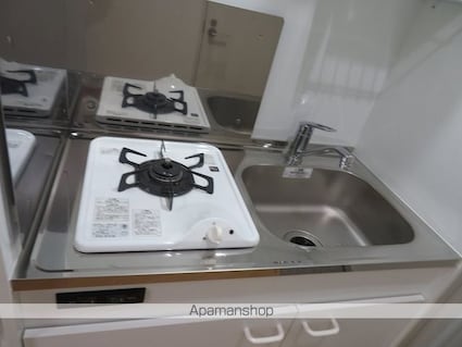 プレシャスイージス[1R/16.09m2]のキッチン