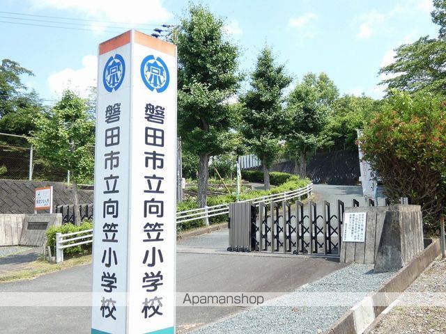 ONE PIECEの周辺写真
