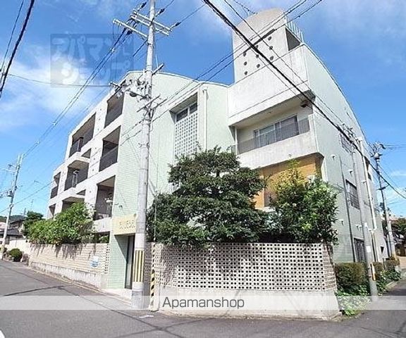 ブルーベル