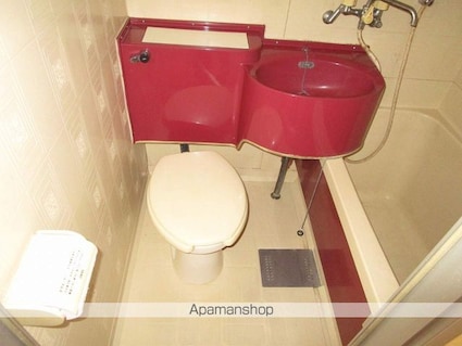 ロックバレー大野[1R/24.16m2]のトイレ