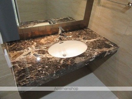 Ｈｉｌｌｓ　Ｒｅｓｉｄｅｎｔｉａｌ　Ｓ１２[1LDK/53.68m2]の洗面所