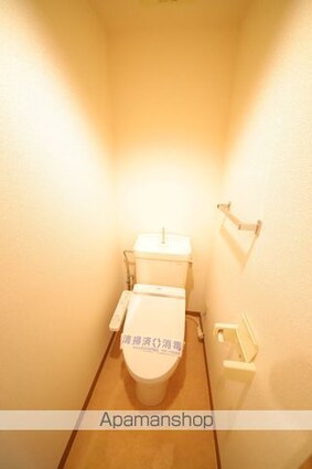 Ｃ’ｓ３　ＫＡＮＥＫＯ[1K/22.28m2]のトイレ