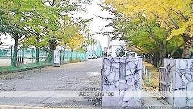 ノルディック アパートメンツ 1の周辺写真