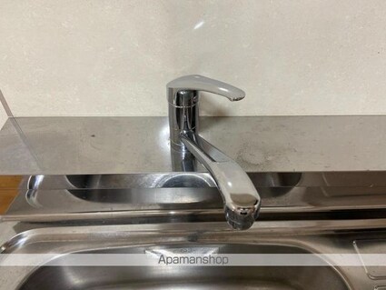 コンフォート松縄[1K/32.34m2]の内装4