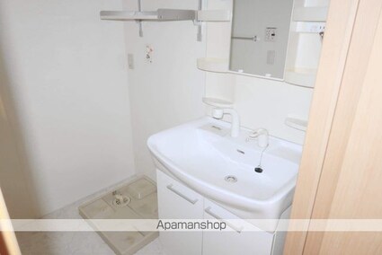 カメリア武蔵藤沢[1R/30.03m2]の洗面所