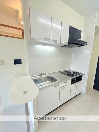 広島県広島市中区大手町３丁目[1K/30.01m2]のキッチン