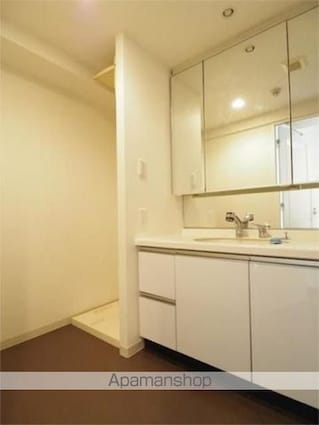 レジディア三軒茶屋Ⅱ[2LDK/64.01m2]の洗面所