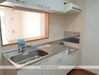 サンリットＳ・Ⅱ[2LDK/58.38m2]のキッチン