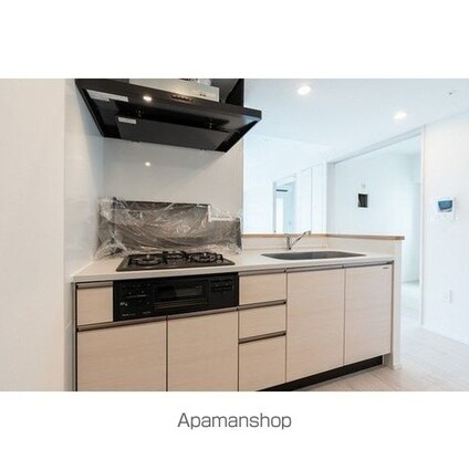 グランカーサ船堀Ⅱ[2LDK/51.67m2]のキッチン