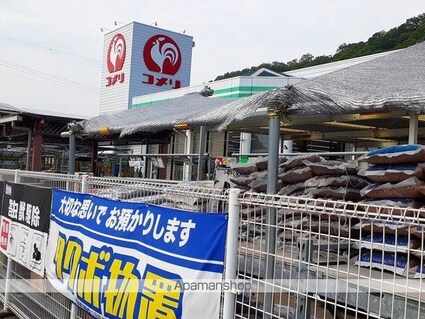 プラシードＢ[2DK/40.45m2]の周辺1