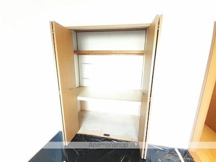 ロジュマン　コシノハラ[2LDK/55.71m2]の収納