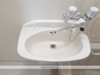 ウィステリアヒル[2DK/39.74m2]の洗面所