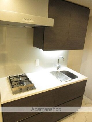 ザ・パークハビオ高円寺レジデンス[1K/25.3m2]のキッチン