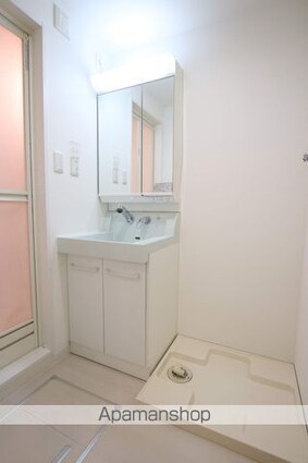 ルネスロマネガーデン[1R/32.2m2]の洗面所