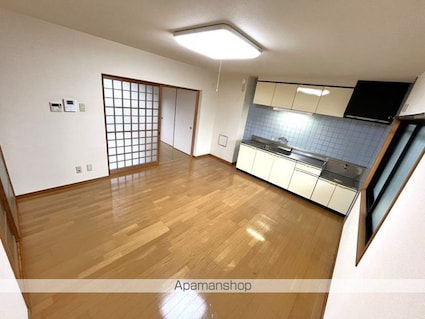 アルカディアマンション[3LDK/69.16m2]の内装5