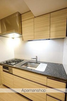 パークアクシスプレミア表参道[1R/42.71m2]のキッチン