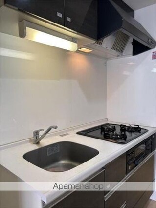 チェスナット　西大島[1K/30.98m2]のキッチン