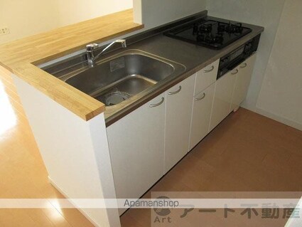 スカイタワー勝山[1LDK/43.47m2]のキッチン