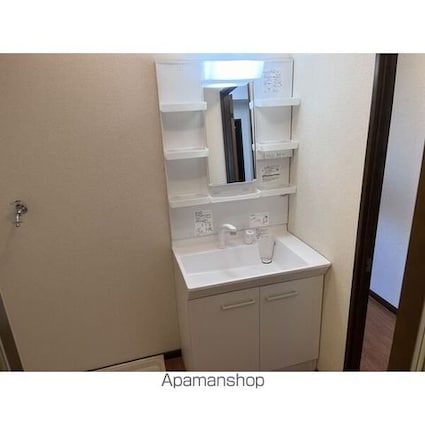 Ｌｉｍｐｉａプレステージサザン[1LDK/43.74m2]の洗面所