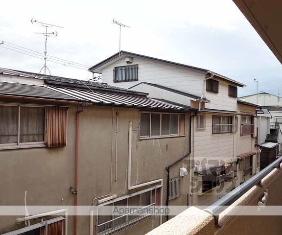 サンフラワーのその他写真