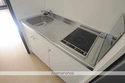 レオネクストしまなみⅡ[1K/31.42m2]のキッチン