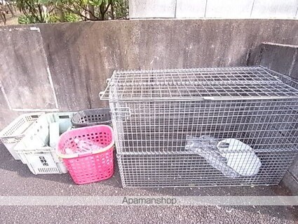 スカイセフィラ[2DK/40.43m2]の共用部4